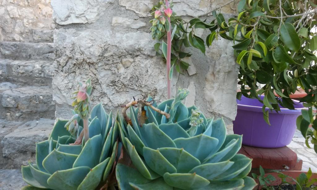 Apartament Porto Poros Mikros Gialos Zewnętrze zdjęcie